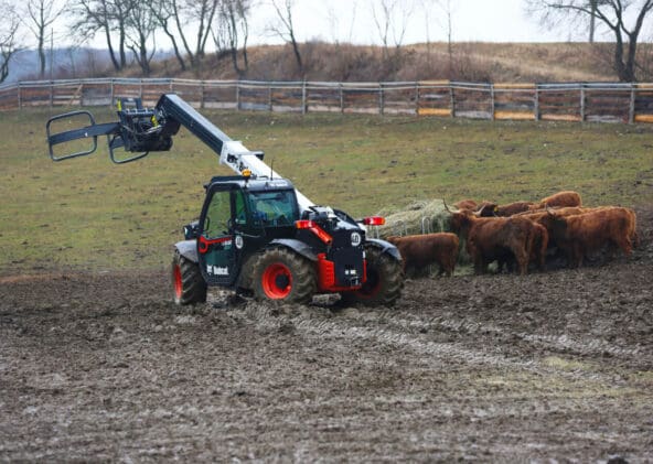 TL30.60 - obrazek 12